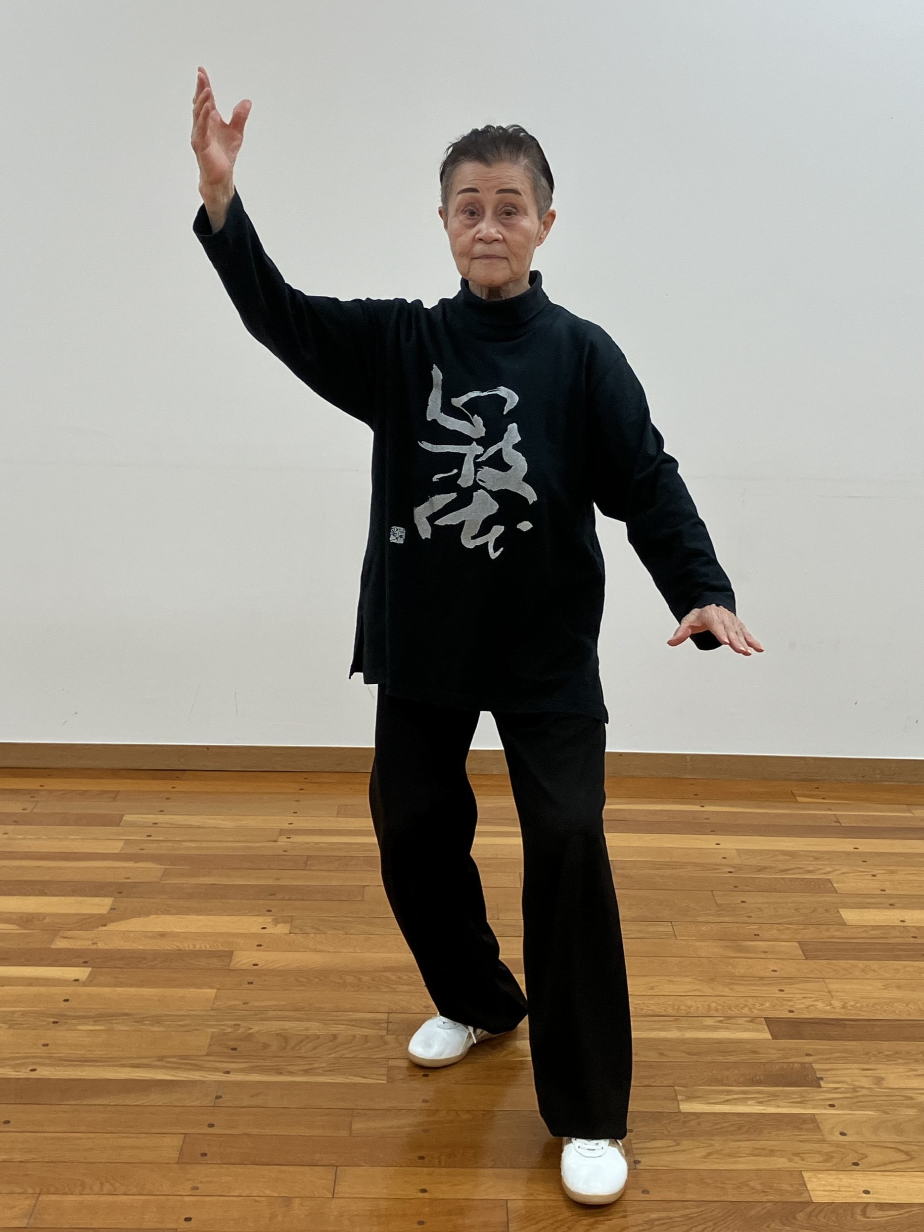 ようめいじたいきょくけん 楊名時太極拳