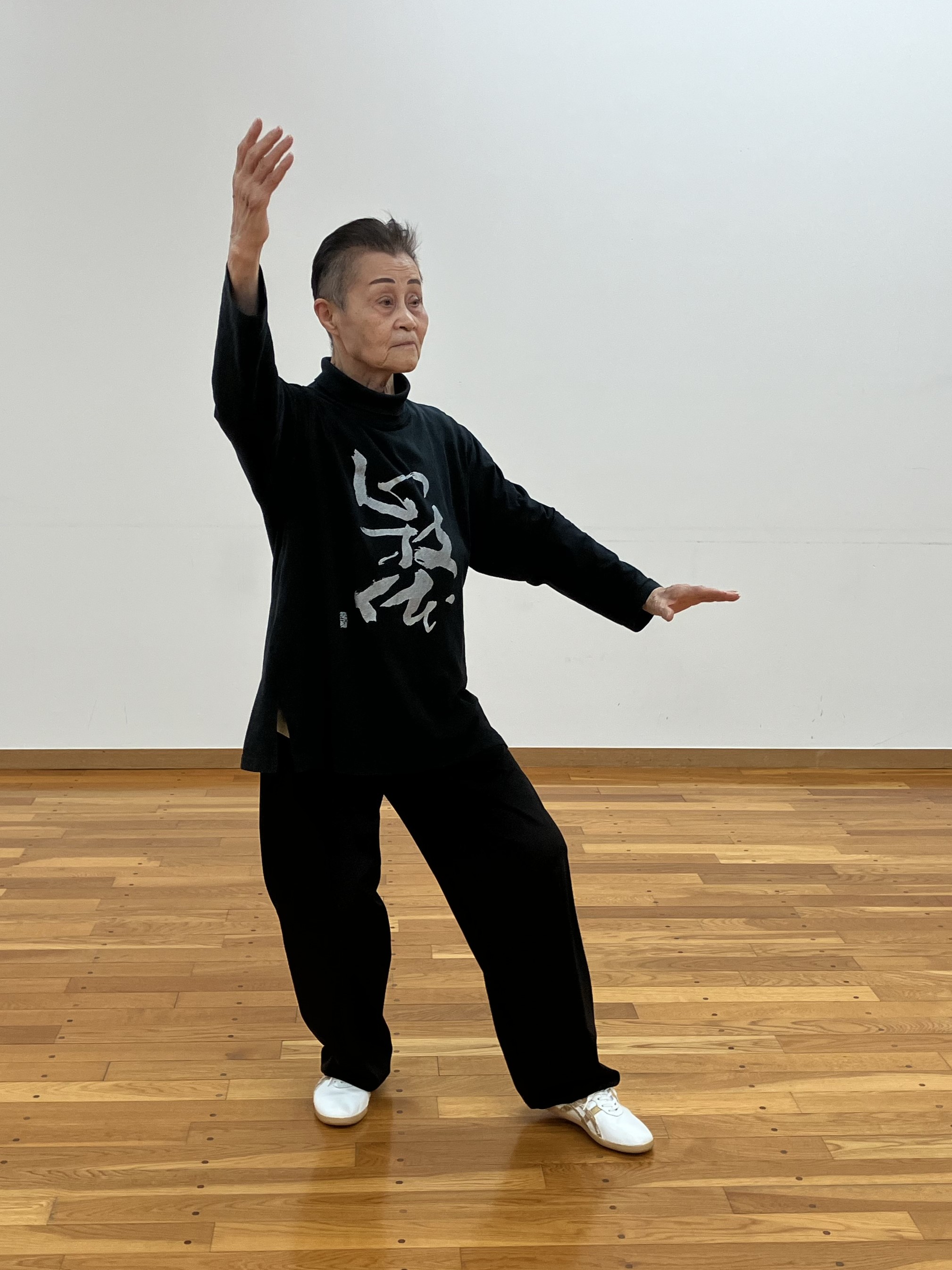 総合太極拳