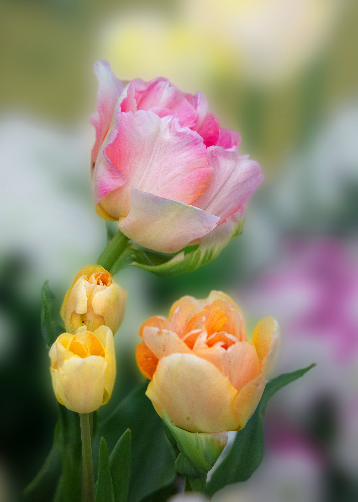 写真上手になろう! 実践・楽しい写真教室 春の新講座 3/28(土)特別体験会