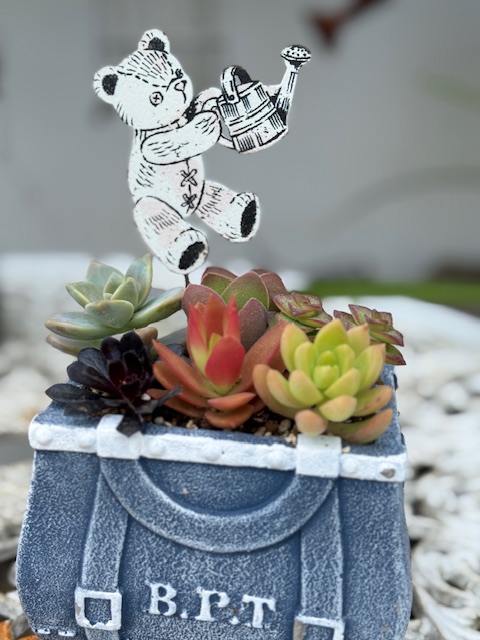 (全3回) 多肉植物の寄せ植えアレンジ 春の新講座:4/20・5/18・6/15