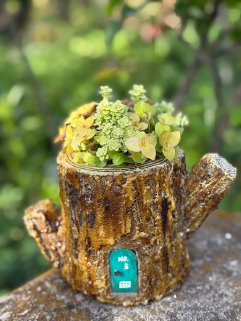 (全3回) 多肉植物の寄せ植えアレンジ 春の新講座:4/20・5/18・6/15