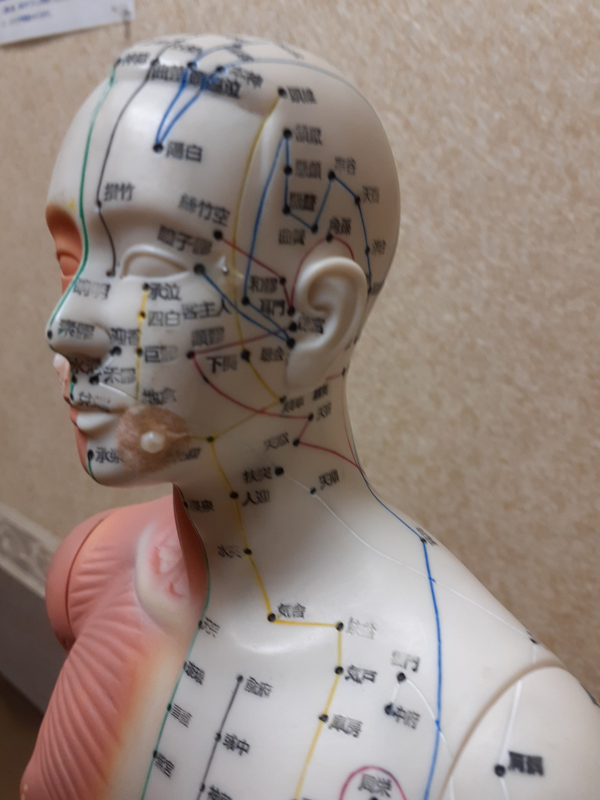 528/(全3回)頭・首・肩・顔のツボ 美容鍼エイジングケア 春の新講座 4/17スタート