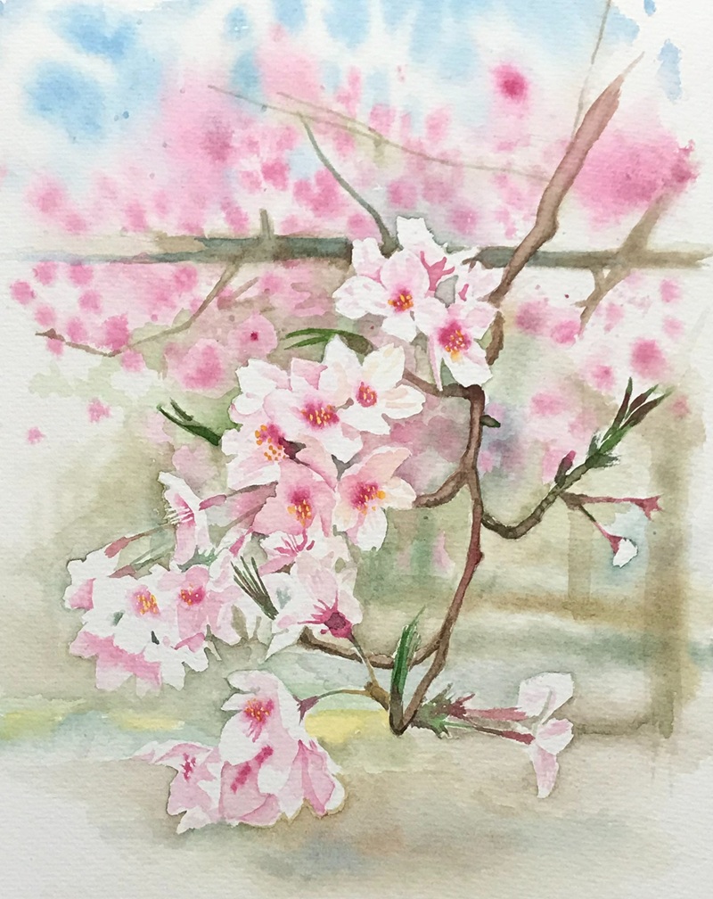 デッサンから着彩まで、基礎を大切に描く 日曜絵画教室