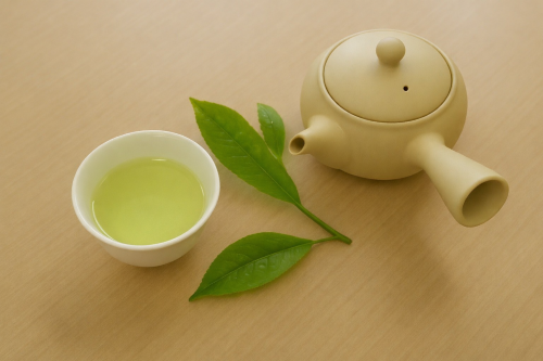 ホットなティータイム 日本茶の美味しいおはなし 春の新講座 特別体験会3/30(月)