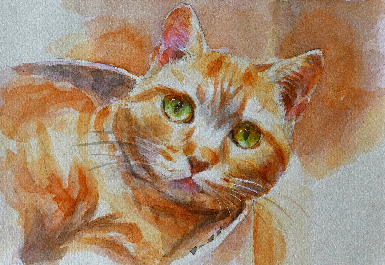 描くコツを学ぶ 水彩画の基礎<全6回> ★春の新講座 全6回★