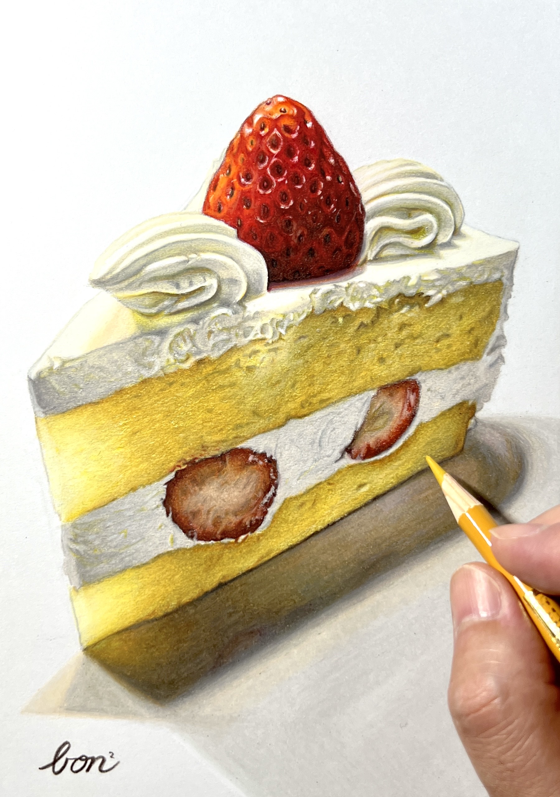 描き方マニュアル付きで初心者の方にもオススメ リアル色鉛筆画 3/31