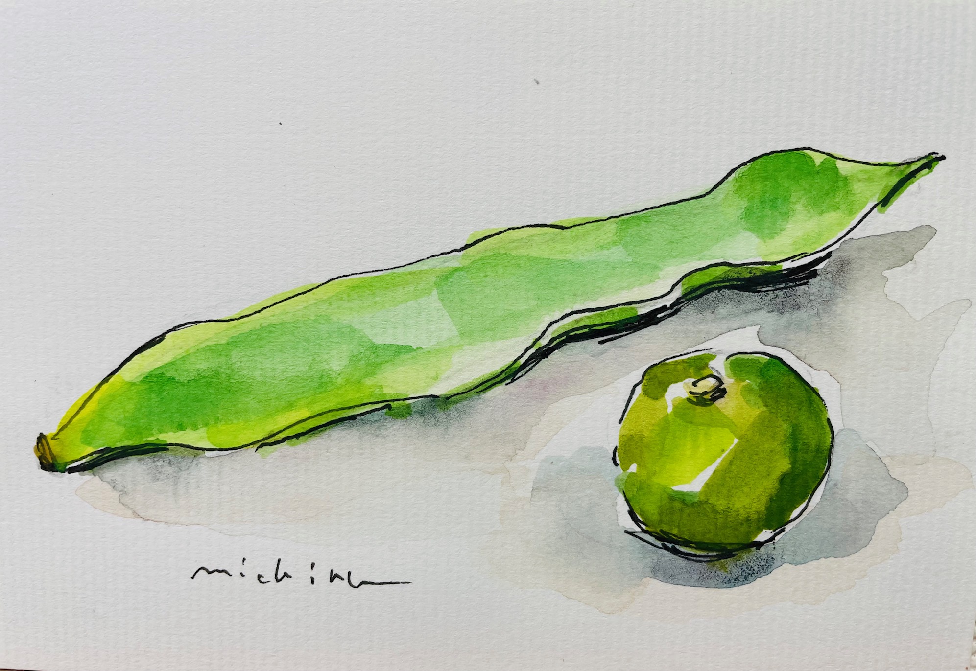 はがきサイズで描く 小さな淡彩画 春の新講座 4/20(月)一日体験