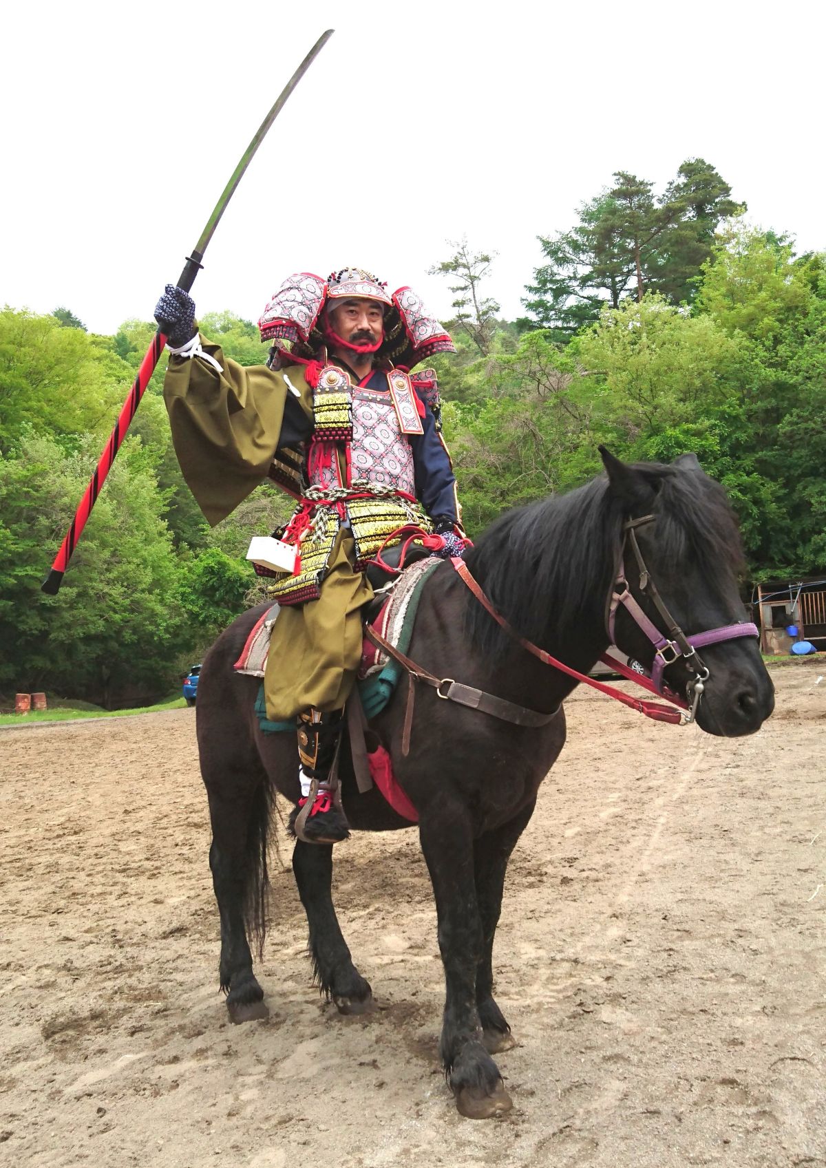 全3回 知らなかった 鎌倉歴史講座 春号新講座 4/8・5/13・6/10(水)