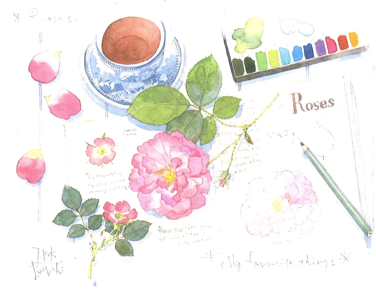 三好貴子の水彩イラスト講座