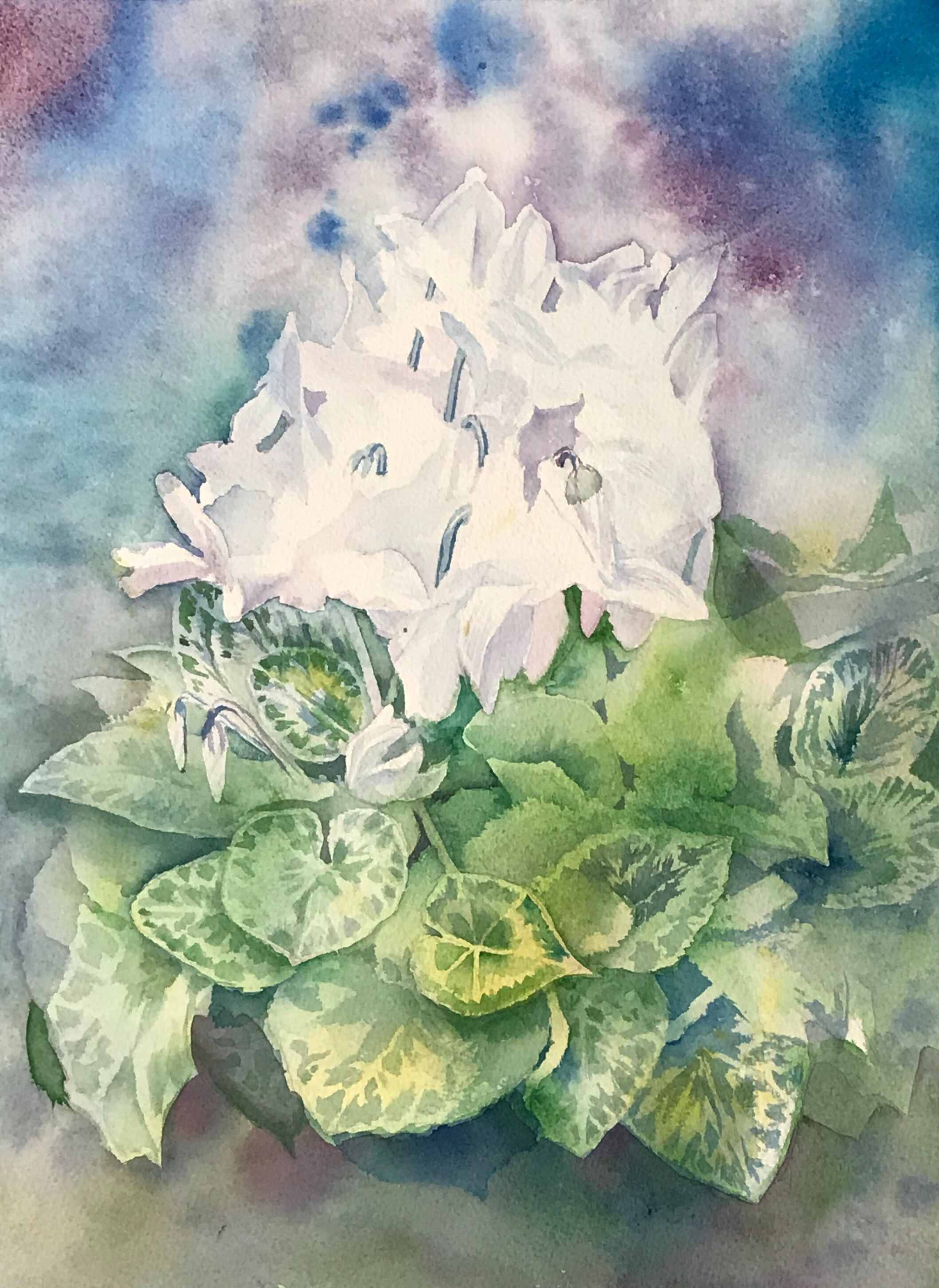 落ち着いて続けられる絵画の時間 楽しく学ぶ絵画教室 春号の新講座3/25(水)特別体験会