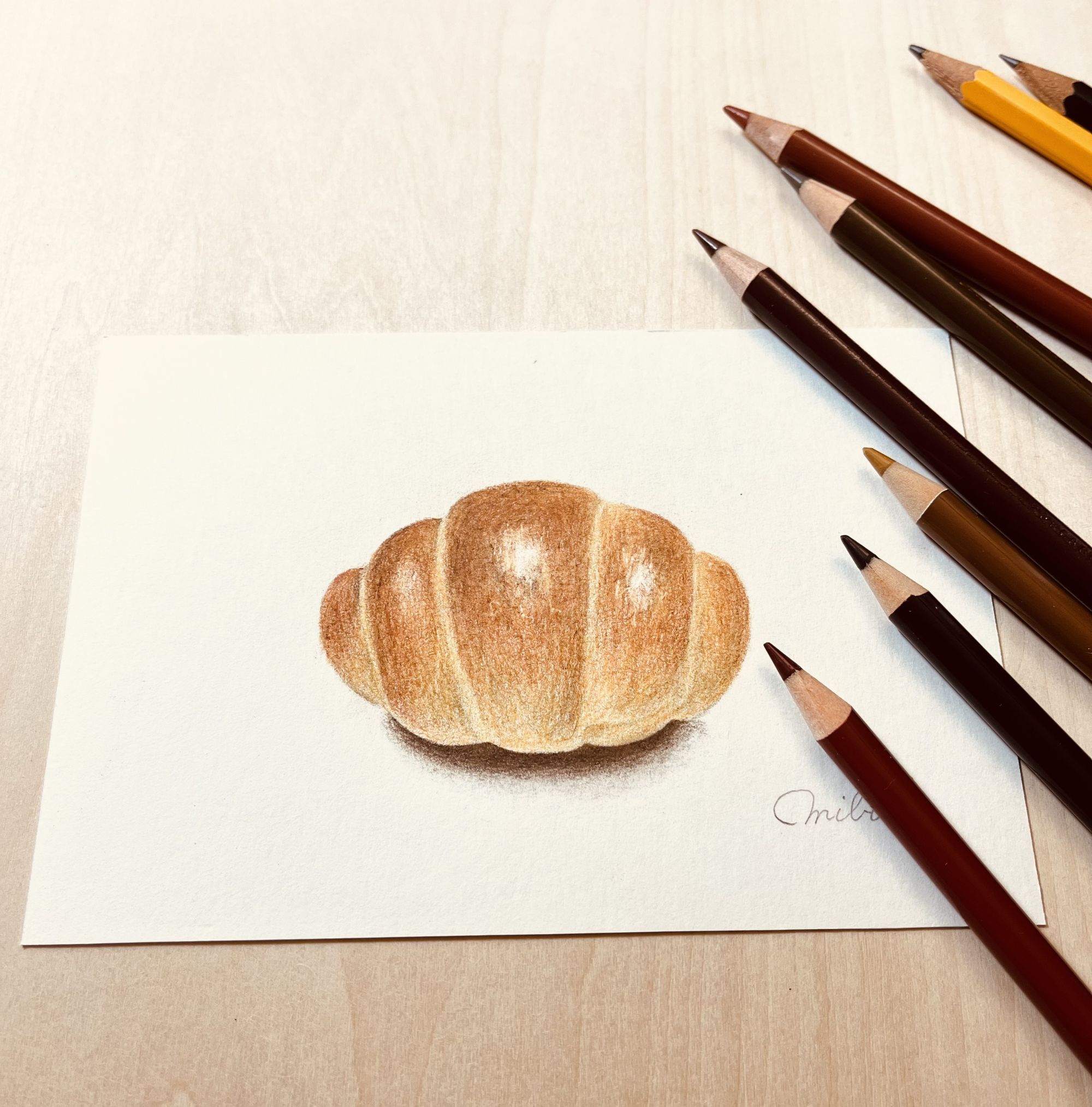 基本からゆっくり 色鉛筆画 春の新規生募集:体験会:3/25(水)・4/8(水)