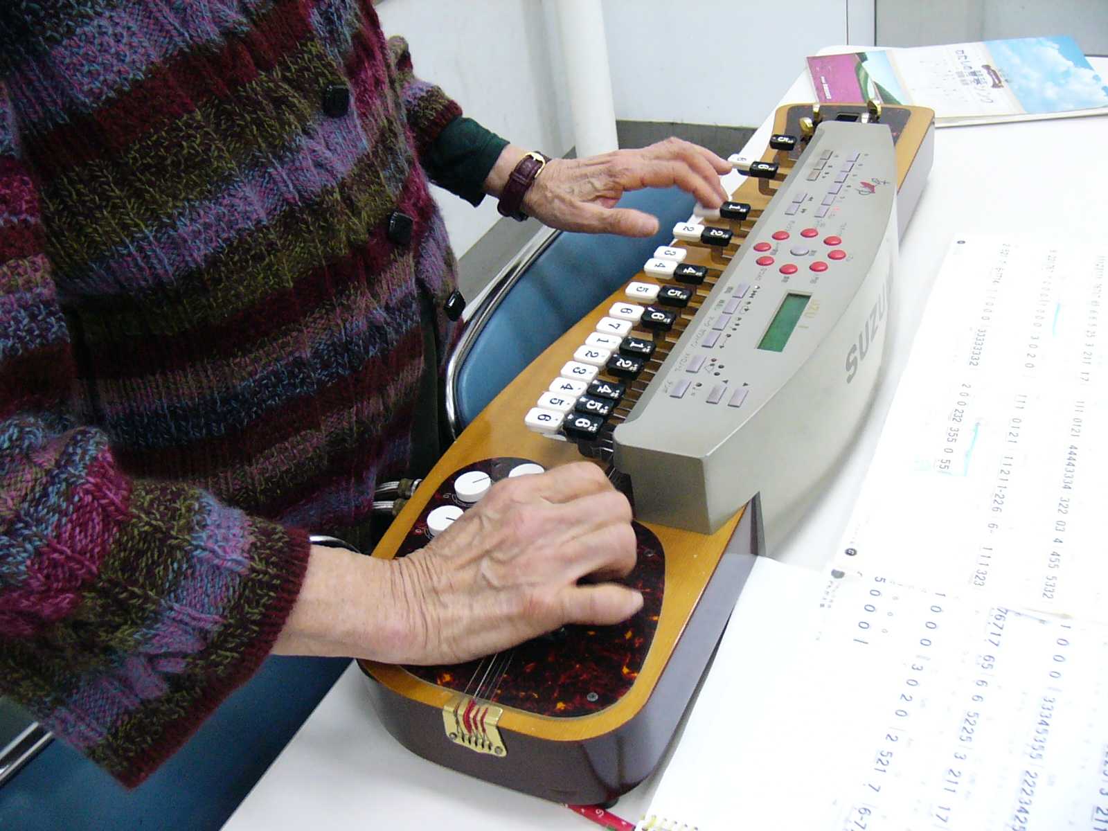 その日から弾ける 初心者向けの大正琴