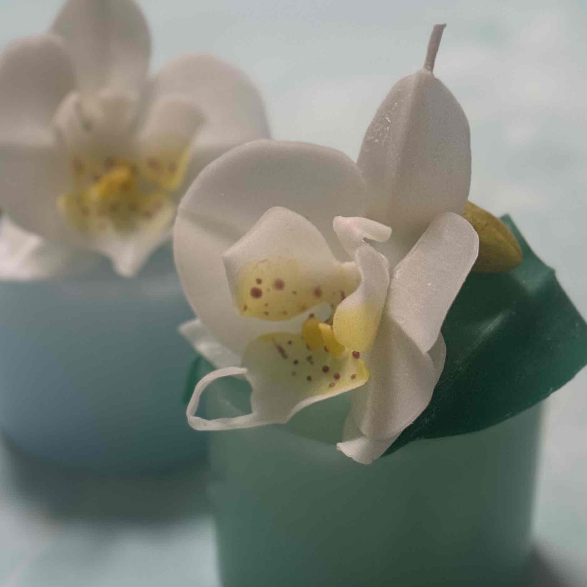 心地よい灯りと香りでリラックス フラワーキャンドル講座 春の新講座3回コース 4/11(土)スタート