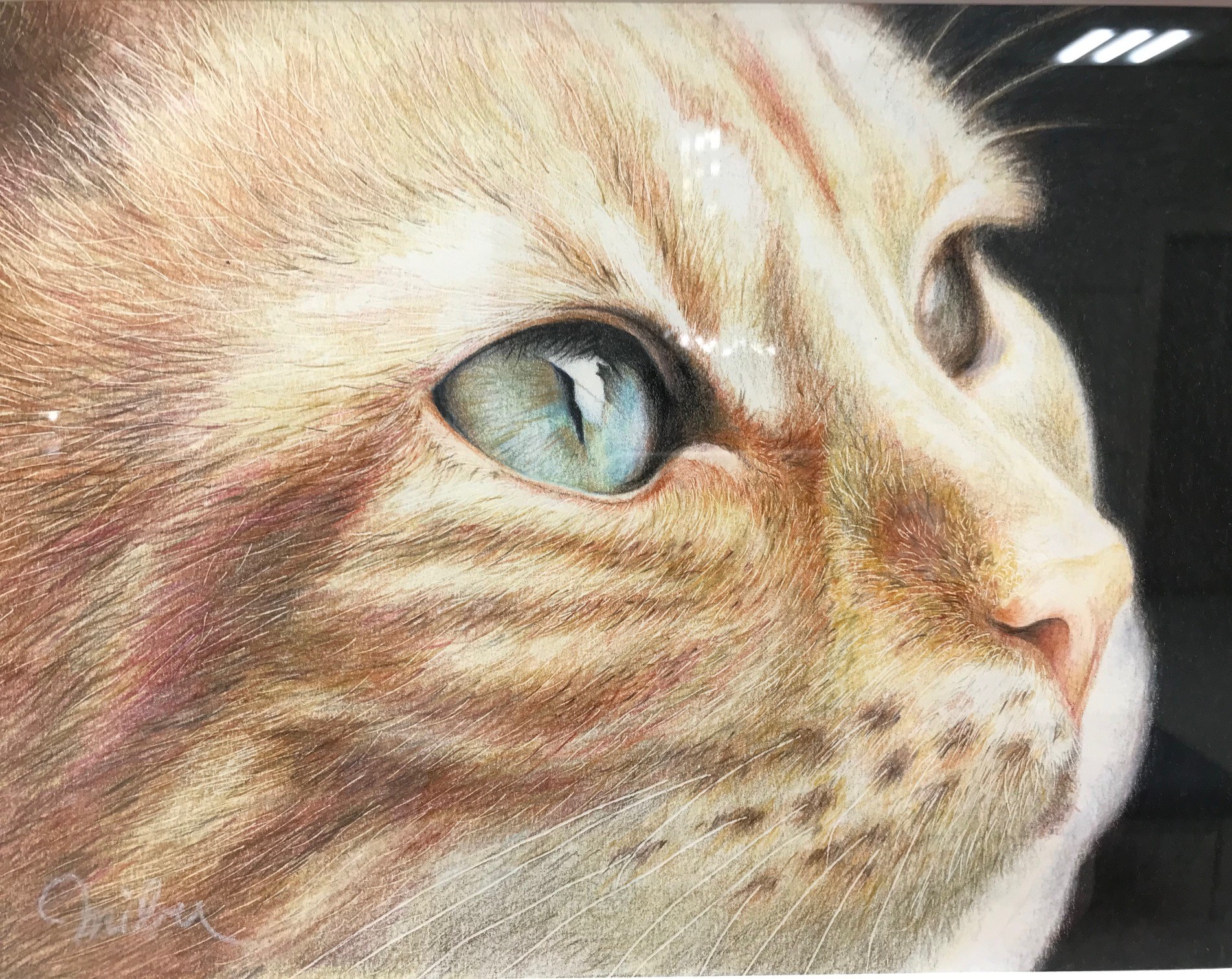 基本からゆっくり 色鉛筆画 春の新規生募集:体験会:4/8(水)