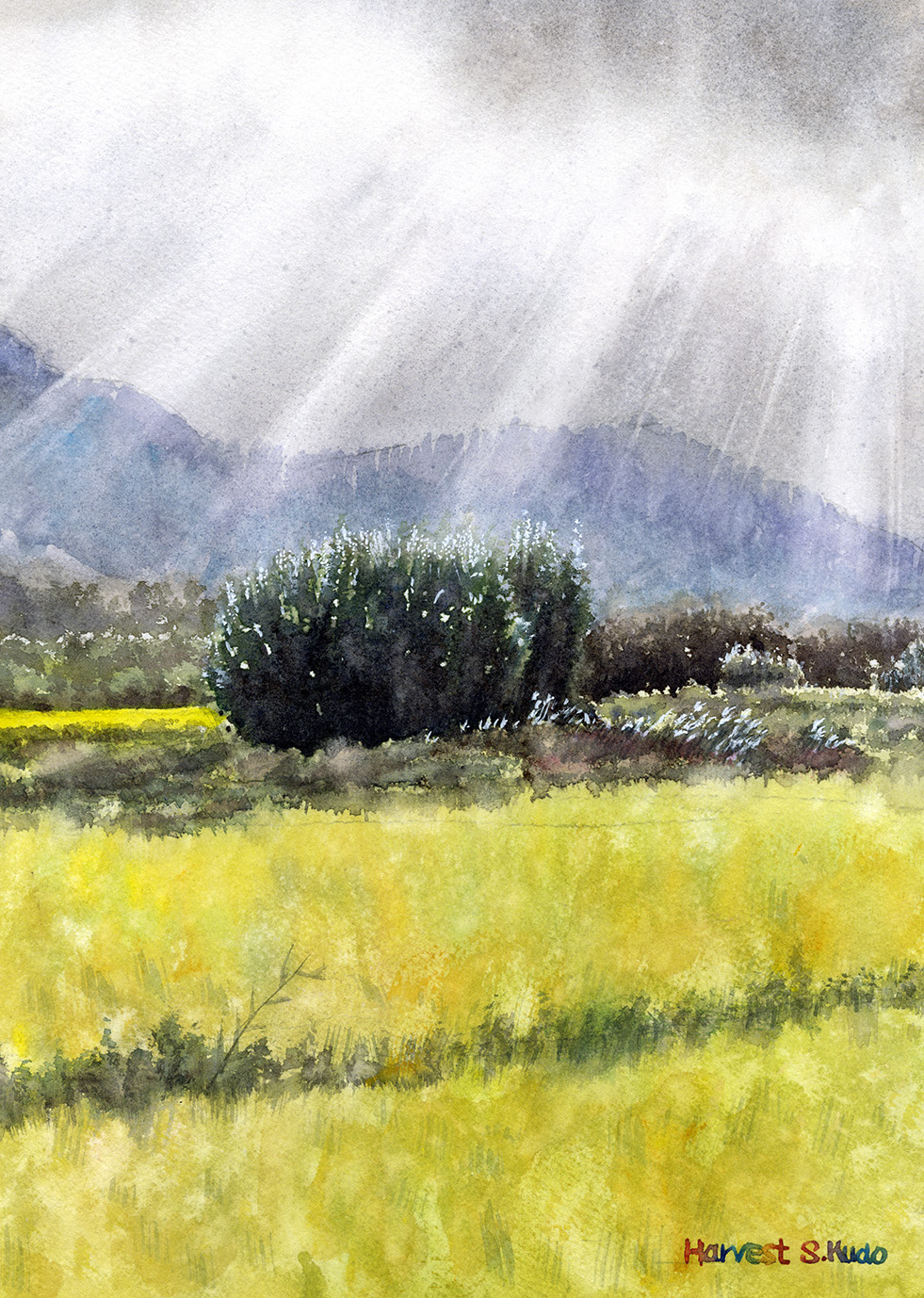 講師のデモンストレーションから学ぶ 透明水彩画入門 (全2回) 2026年2月9日 / 3月9日