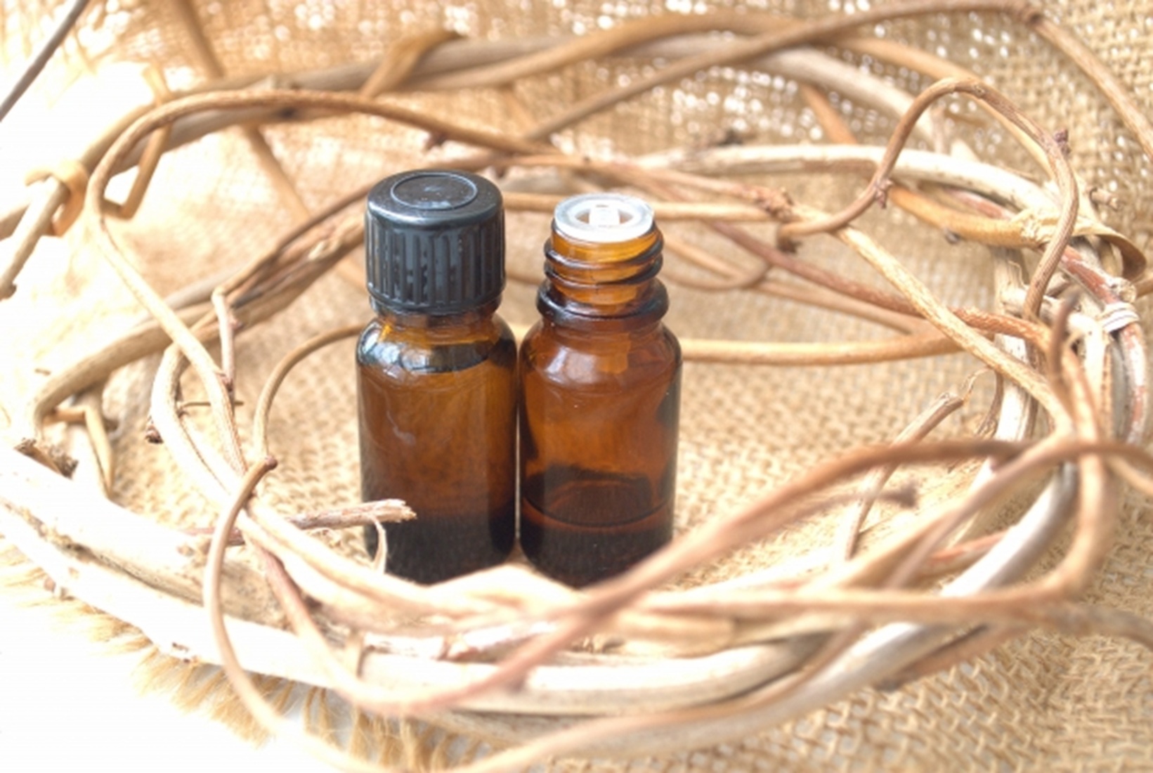 身近な植物で作る美容オイル 和ハーブ美容オイル作り 春号新講座3/27、4/24、5/22