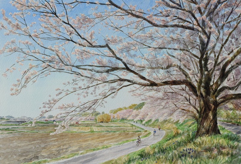 個々のレベルに合わせて 火曜日の水彩画