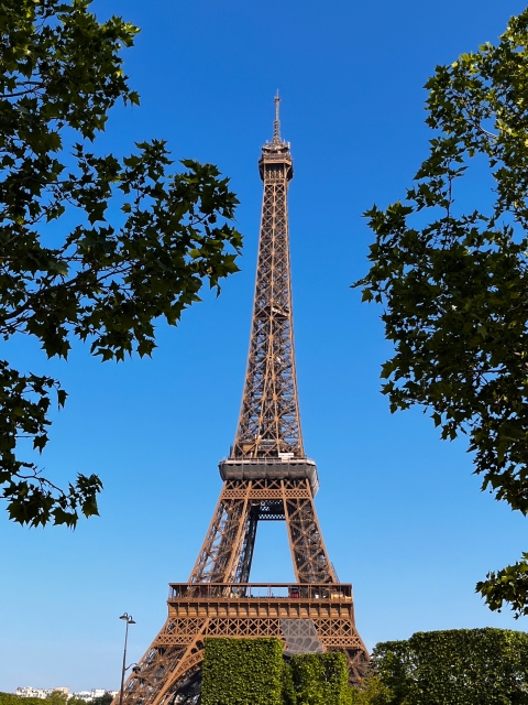 60分個人レッスン フランス語個人レッスン