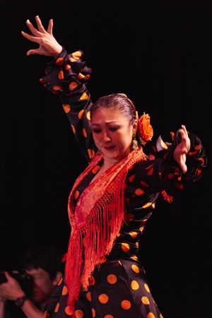 新しい生きがい Vivaフラメンコ!