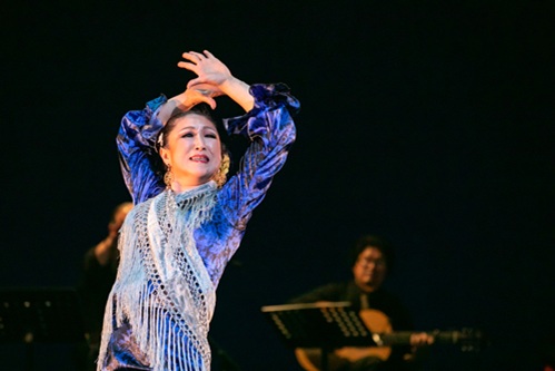 新しい生きがい Vivaフラメンコ!