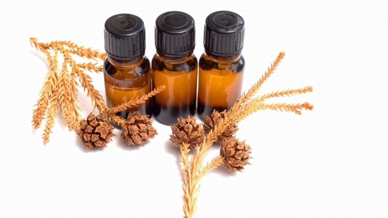 身近な植物で作る美容オイル 和ハーブ美容オイル作り(全4回) 春の新講座4/22(水)スタート