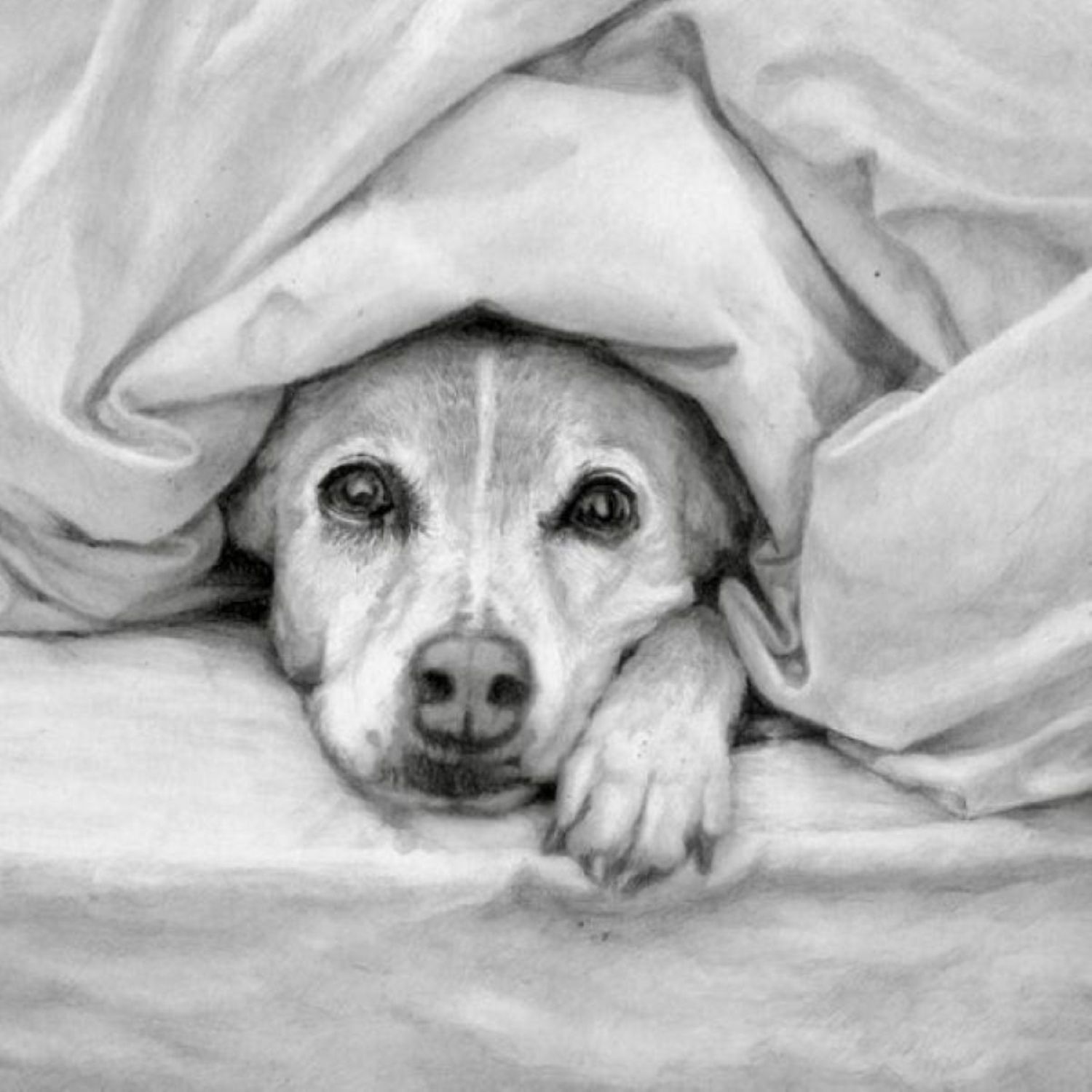 一から始める ★鉛筆画教室 ■新講座体験会   4/3・4/17 ( 金 )