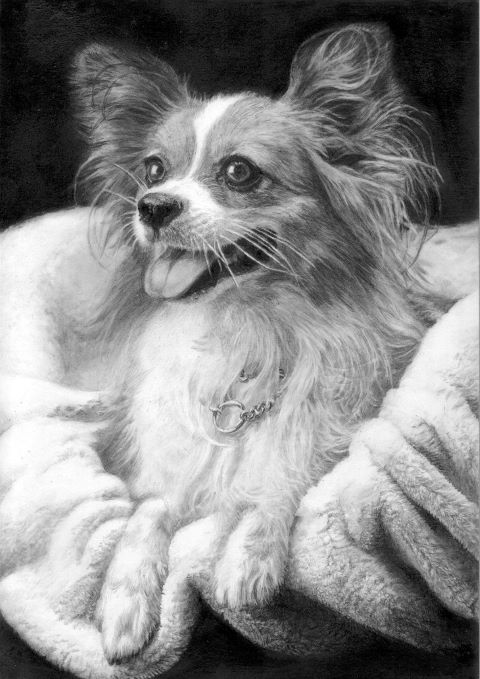 一から始める ★鉛筆画教室 ■新講座体験会   4/3・4/17 ( 金 )