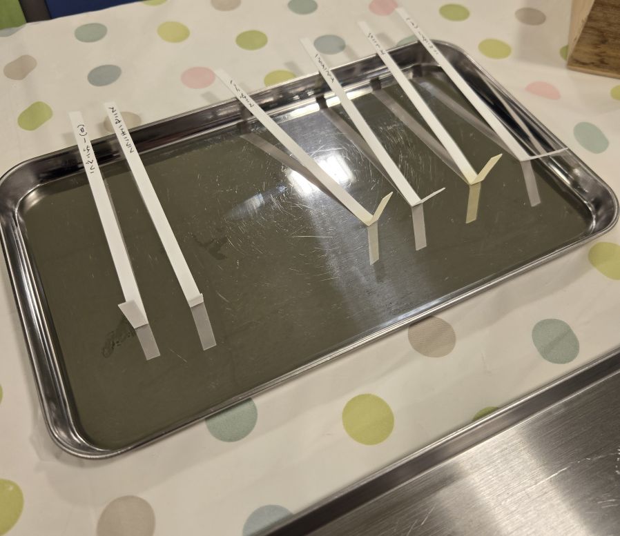 かおりでセルフケア(全3回) アロマテラピー講座 春の新講座3/16(月)スタート