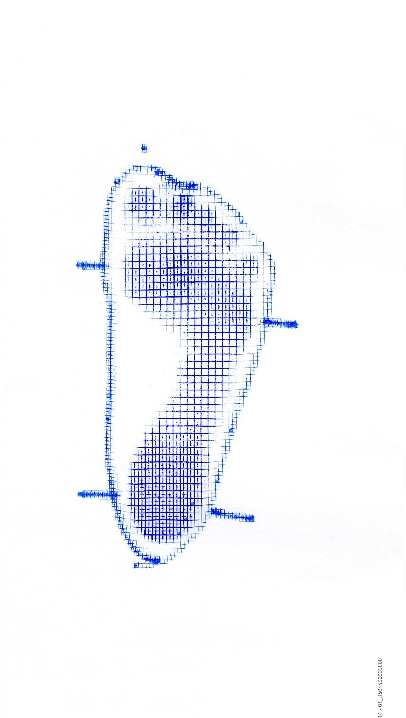 100歳まで元気で歩くための (全6回)足づくり教室 春号新講座 4/15(水)スタート