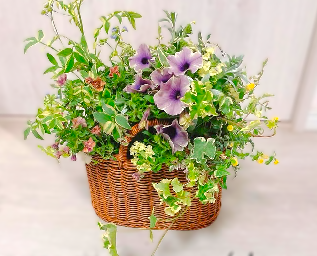 人気ノ寄セ植エ技法 あおき式プランツギャザリング 【一日体験会】3/28・4/25(土)