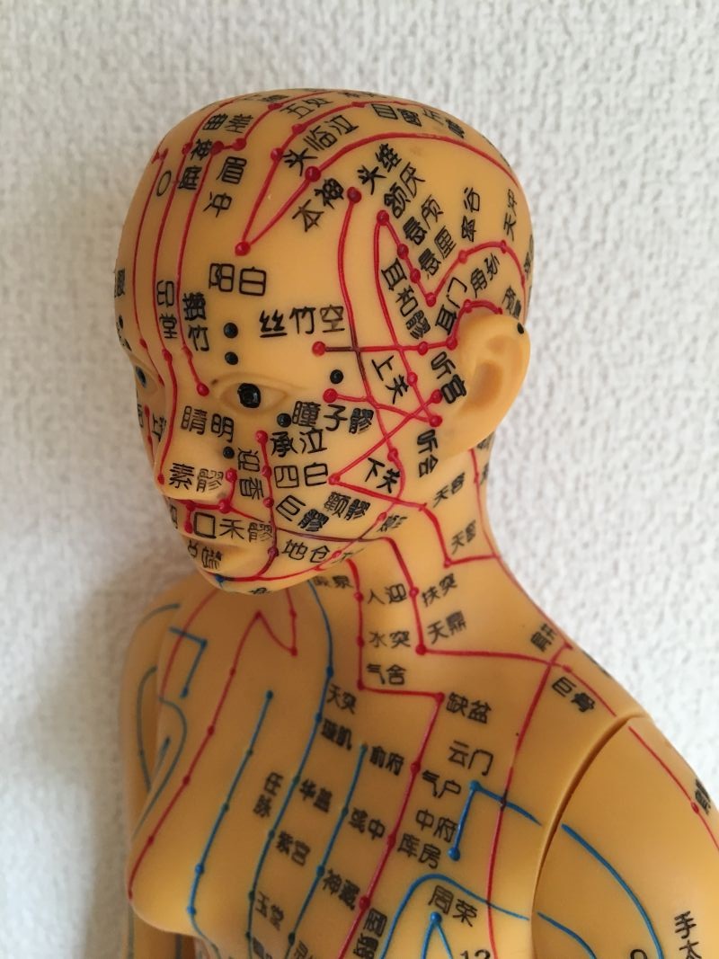 心と体に優しい養生 「春号新講座 4/2(木)特別体験会」