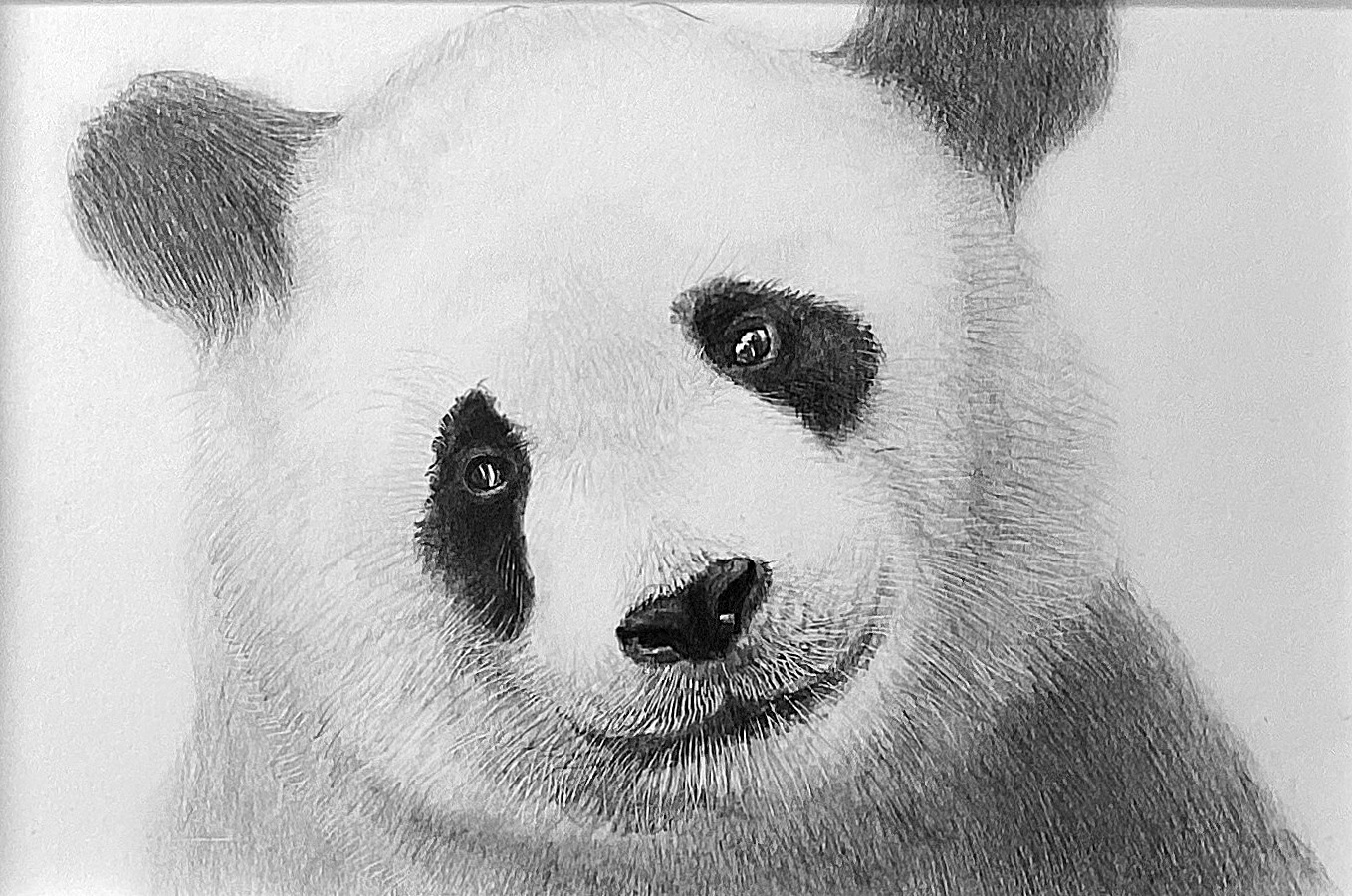 一から始める 鉛筆画教室 【一日体験会】3/27・4/10(金)