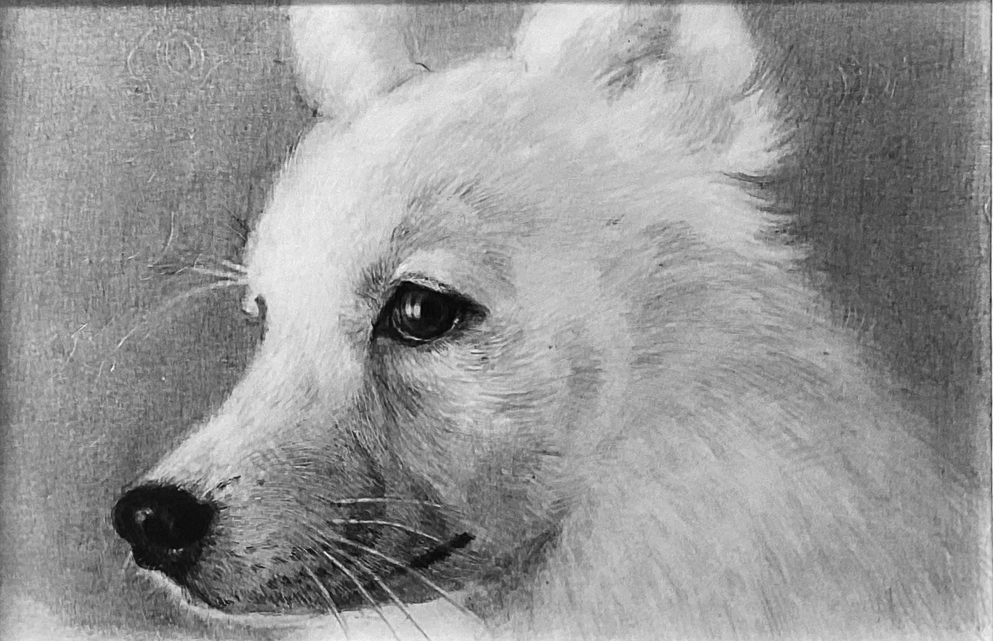 一から始める 鉛筆画教室 【一日体験会】3/27・4/10(金)