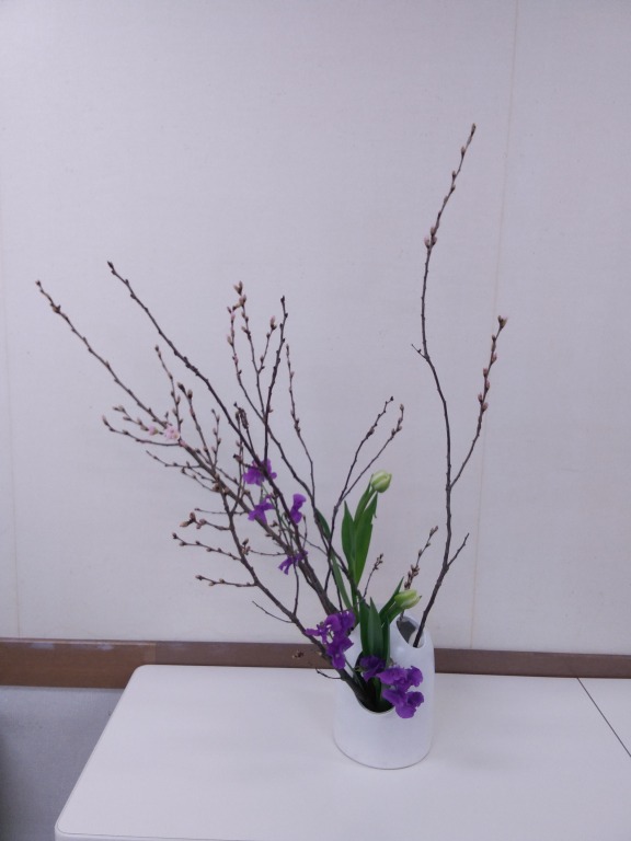 いけばな 龍生派 春の30分見学会 4/1