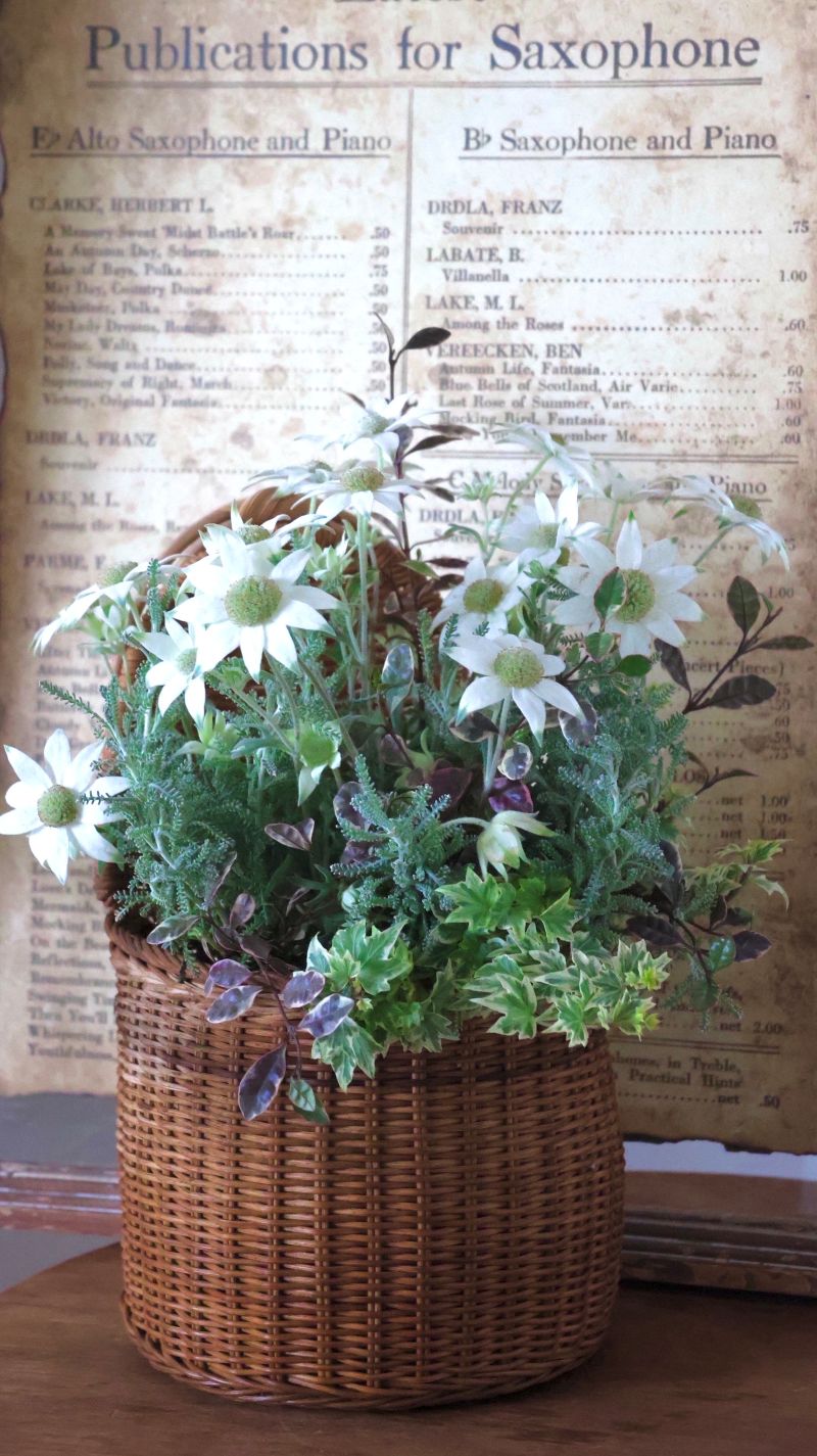 季節のお花を楽しもう 花々の寄せ植え 春の新講座 4/17(金)特別体験会