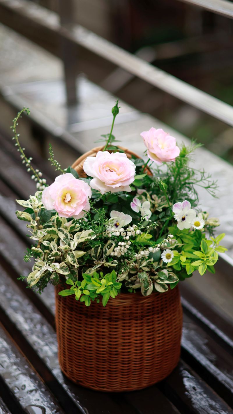 季節のお花を楽しもう 花々の寄せ植え 春の新講座 4/17(金)特別体験会
