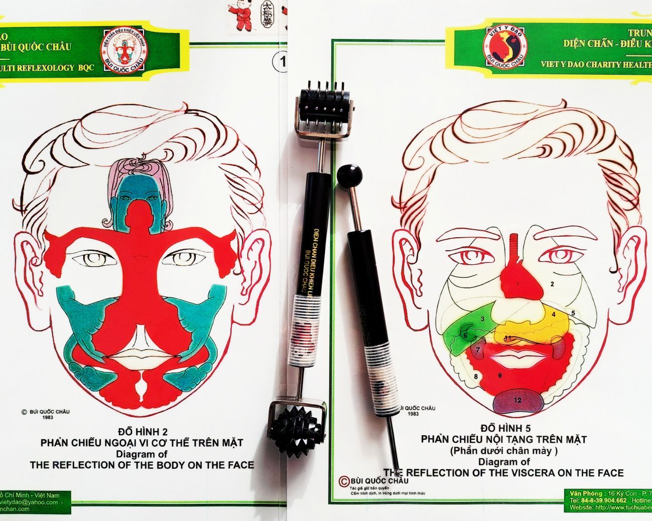 自然治癒力を高める ベトナム医道ディエンチャン 春の講座案内 3/19(木)スタート