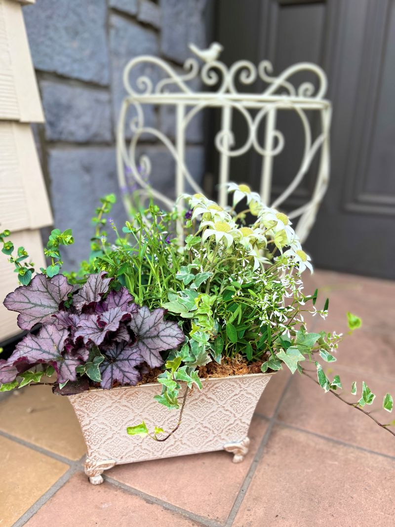 よくばり花レッスン 春の新講座 4/14(火)特別体験会