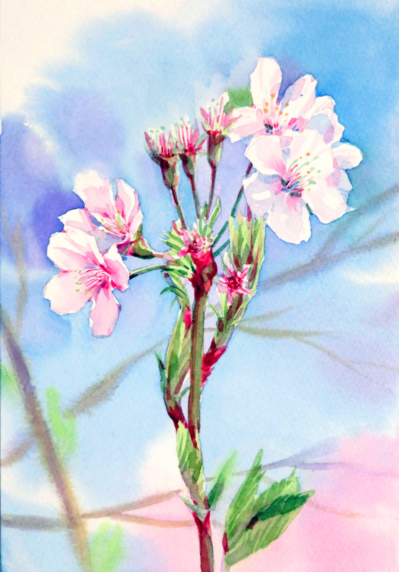 初心者歓迎☆楽しく描きましょう 水と遊ぼう透明水彩 春の新講座★4月6日(月)特別体験880円+教材費330円