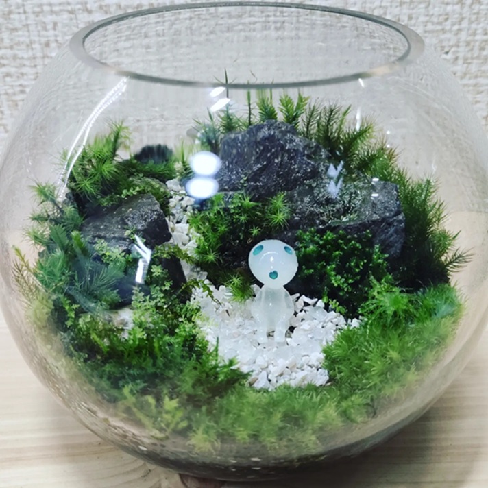 小さな緑のインテリア 苔テラリウム(全3回) 春の新講座 4/19(日)スタート