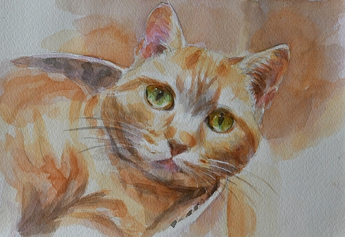 描くコツを学ぶ 水彩画の基礎(全6回) 春の新講座 4/20(月)スタート