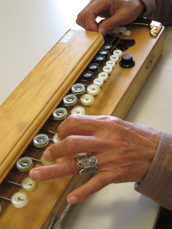 やさしい大正琴(個人)