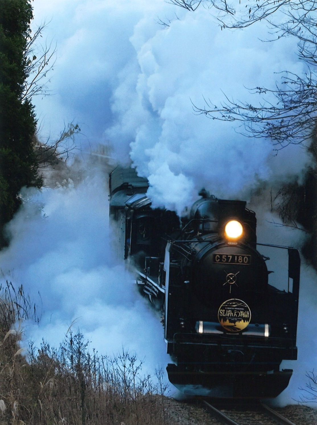 人物・スナップ・風景 実践撮影で学ぶ写真講座(全6回) 春の新講座4/13(月)スタート予定