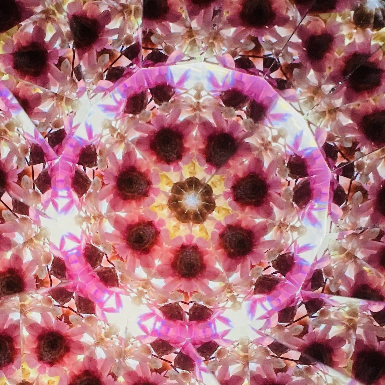 自分だけのオリジナル 万華鏡を作ろう 春号スペシャル 4/11(土)特別体験会