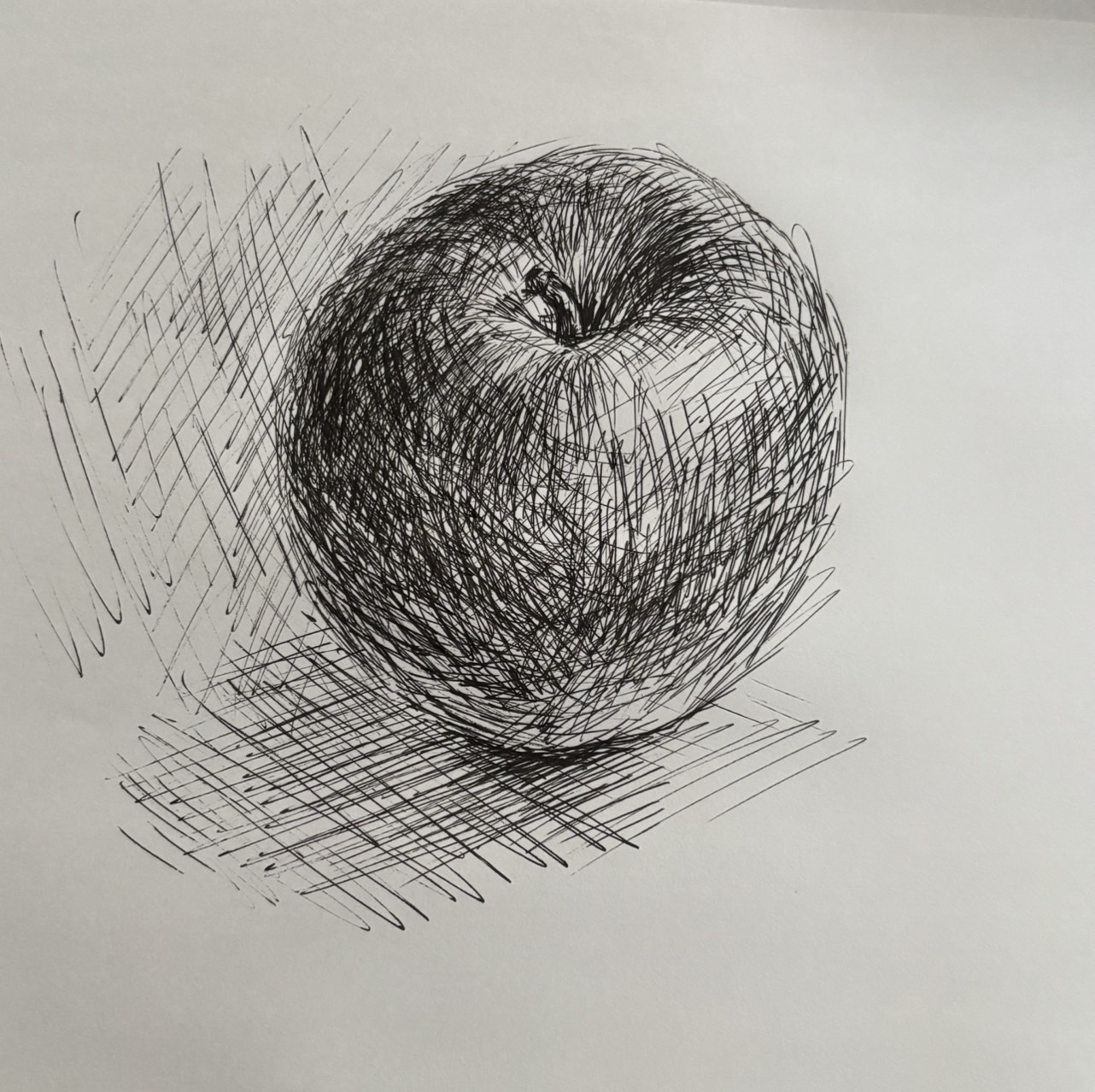 はじめてみよう ボールペン画 新講座 2/16(月) 特別体験会