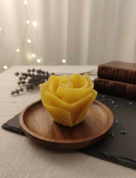 はちみつ講座&クラフト作り 【登録事務手数料不要】 1DAY講座 4/2(木)