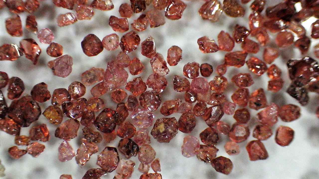 日本や世界の砂を観察してみよう 【1DAY】砂のかがく 3/29(日) 10時～12時