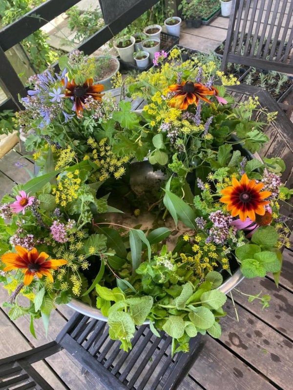 楽しみな季節到来! ハーブレッスン&クラフト 春号 新講座 全4回 4/24スタート