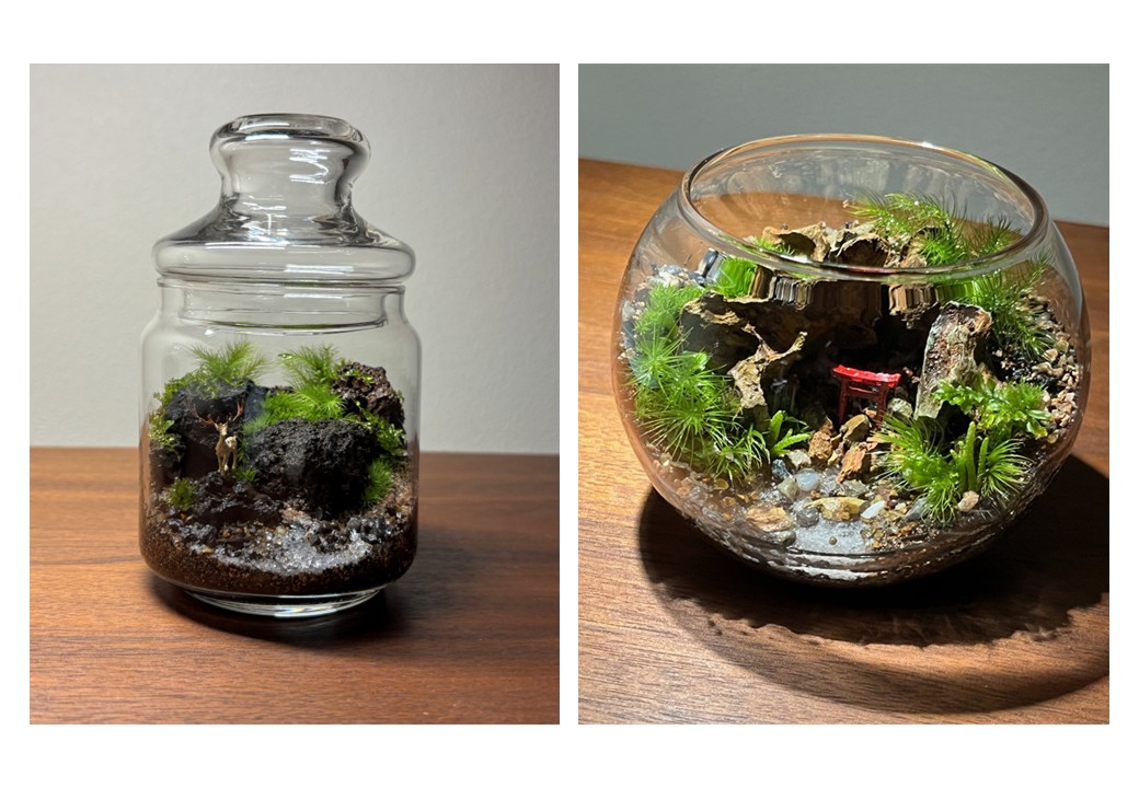 1DAYレッスン 作り・愛でる苔テラリウム 4/5(日)「ポップジャー」 5/10(日)「ボウル型」