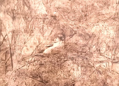 ～セピア色の世界を描く～ ウッドバーニング(焦がし絵) 春号おすすめ講座 4/11(土)特別体験会